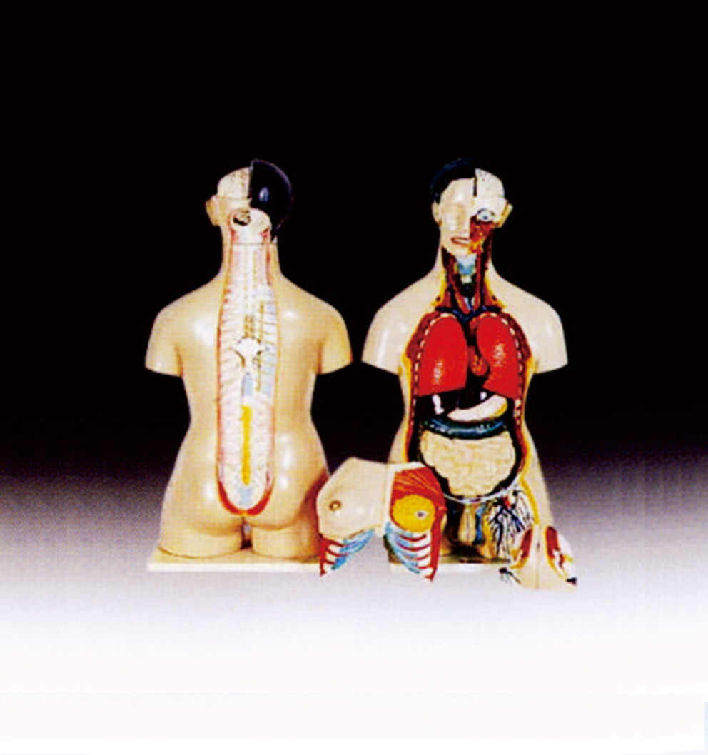 常規(guī)教學儀器