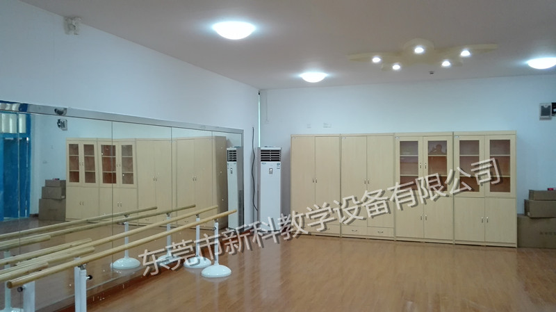 <a href='http://m.huajiawangjun.com/chanpin/59-1.html' target='1' style='font-size:18px; font-weight:bold; color:#000000;'>舞蹈室</a>