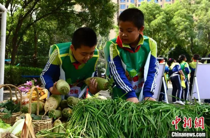 資料圖:2020年9月25日,蘭州市紅山根小學“心根農莊”里上演了一場特別的豐收節會。 崔琳 攝